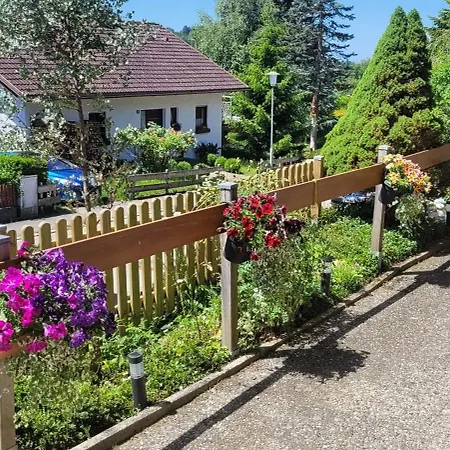 Sonnenschein Heimenkirch
